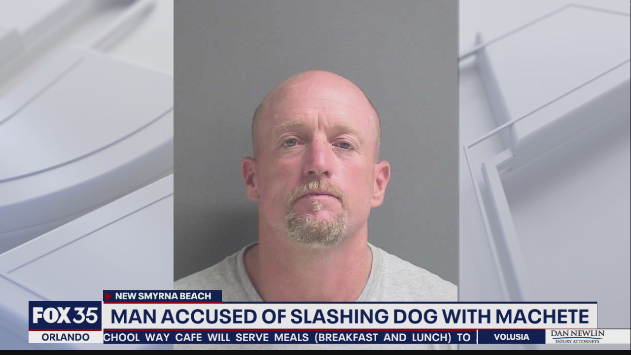 Deputies: Man arrested for slashing dog with machete