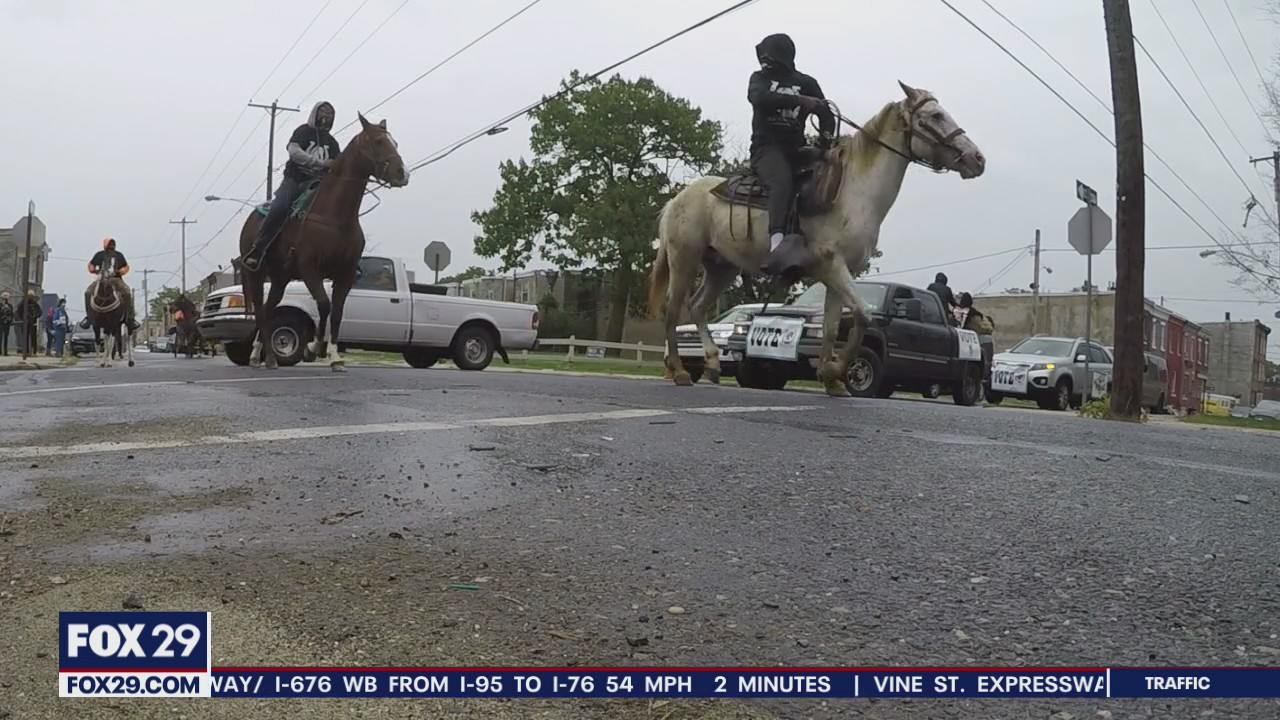Local riding club uses horses to encourage voter turnout