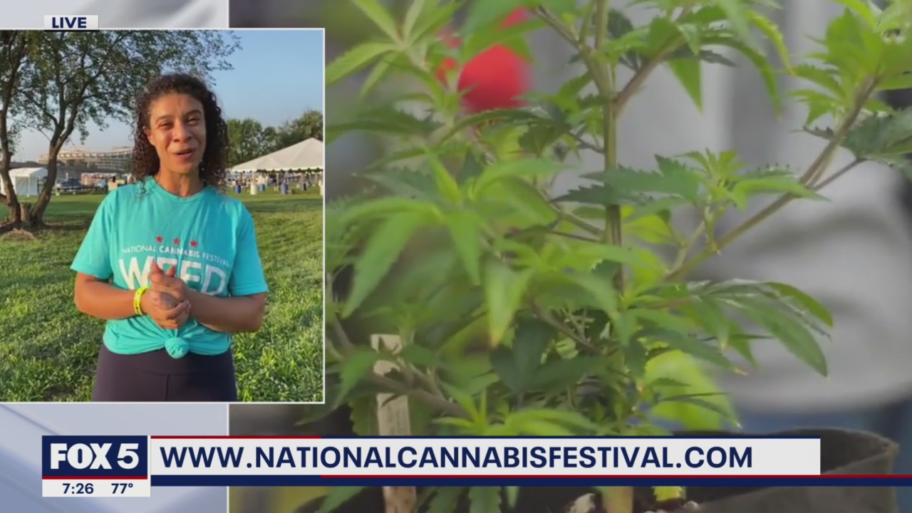 National Cannabis Festival comes to D.C.