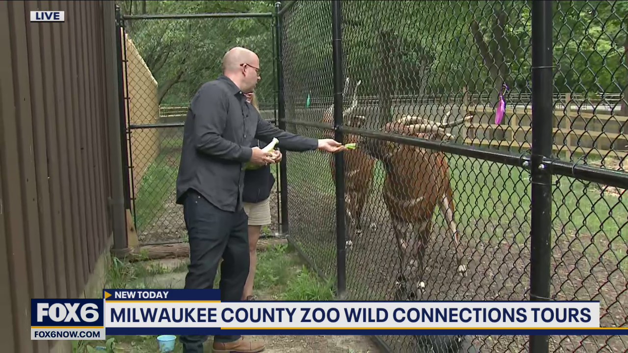 African Forest habitat at the Milwaukee County Zoo