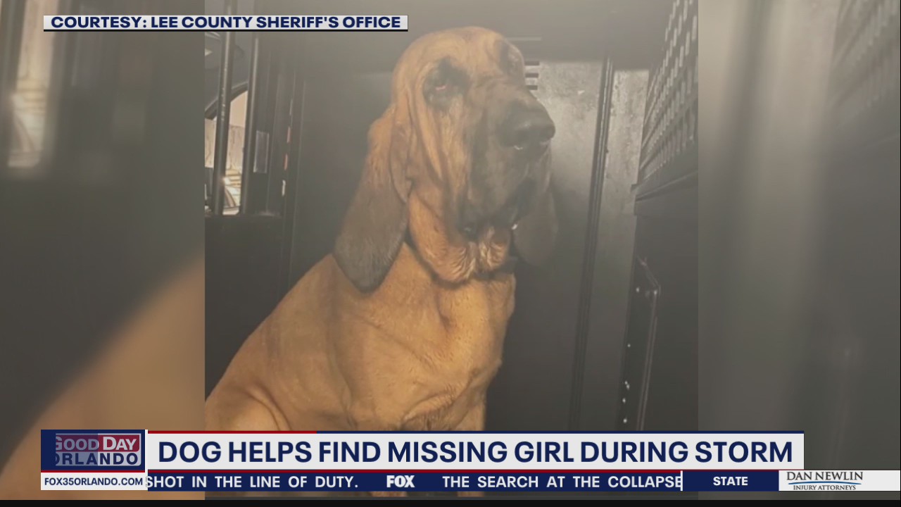 Dog helps find Florida girl during Tropical Storm Elsa