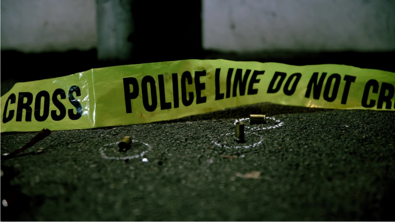 2 Dead, 7 wounded in shooting at NC block party