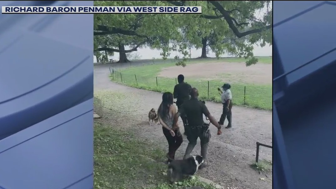 Woman handcuffed after walking dogs with no leash