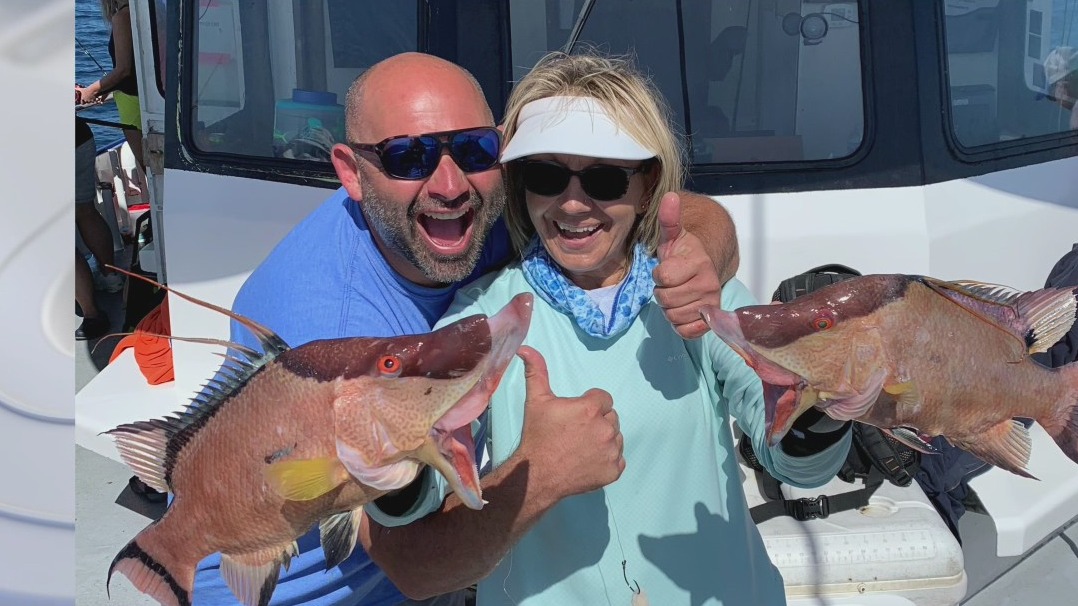 Hogfish action heats back up