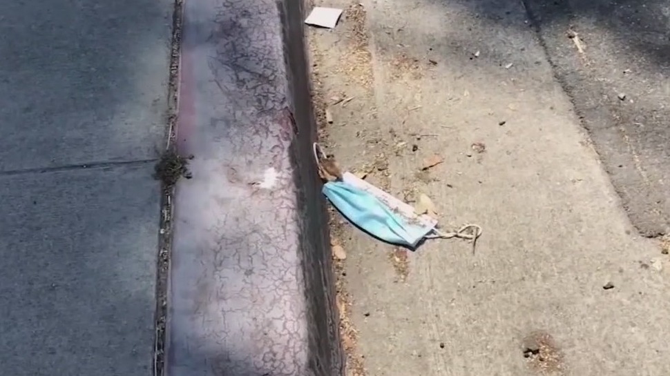 The pandemic’s pollution problem