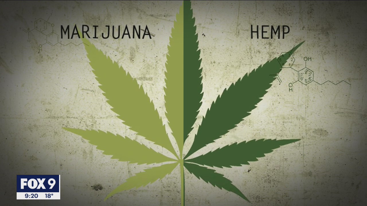 Why Delta 8 is known as Weed Light