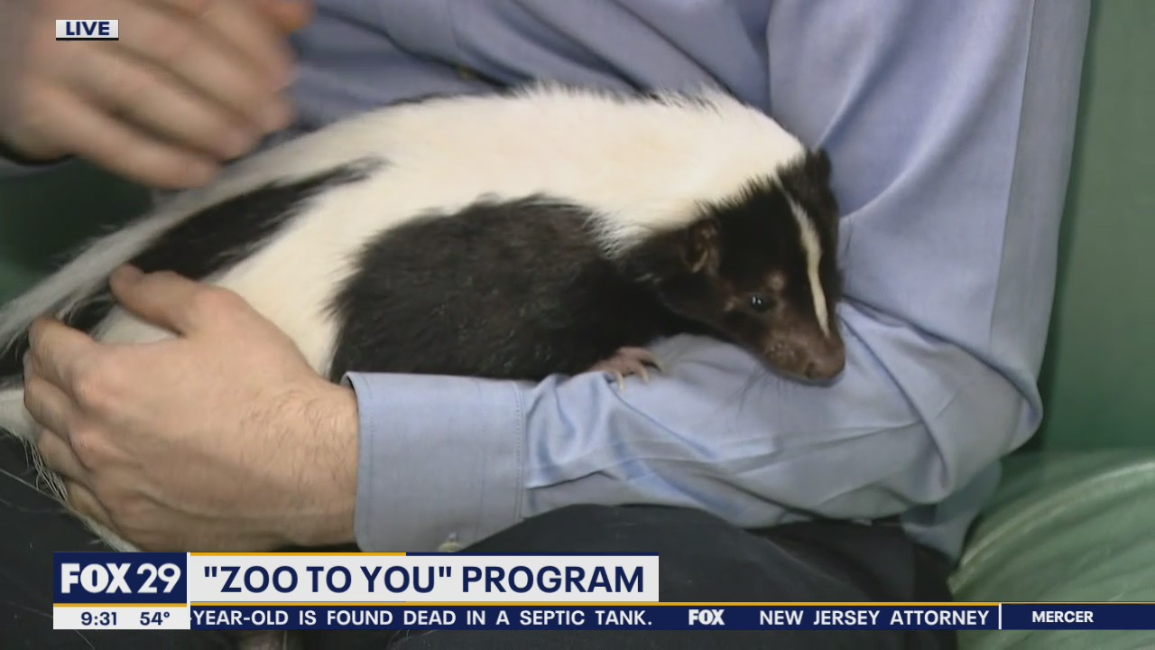 Philadelphia Insectarium's 'Zoo to You' program lets visitors see critters up close