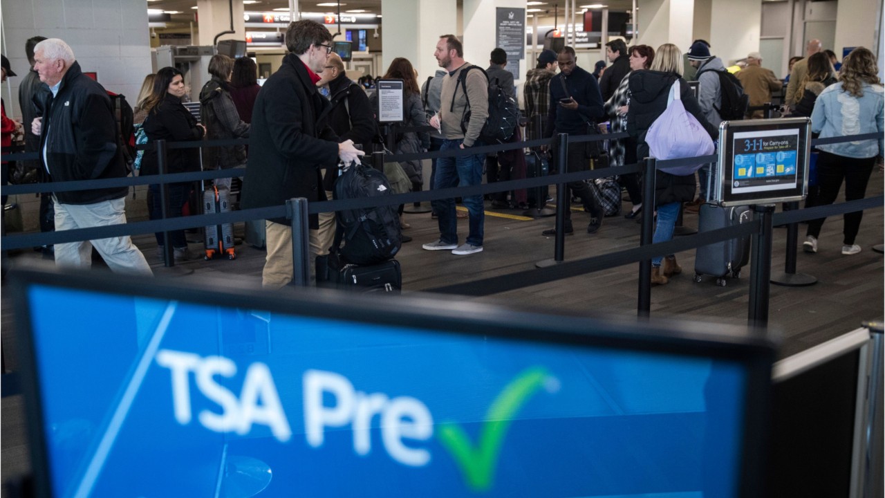 Passenger forgets snake at TSA checkpoint, officials say