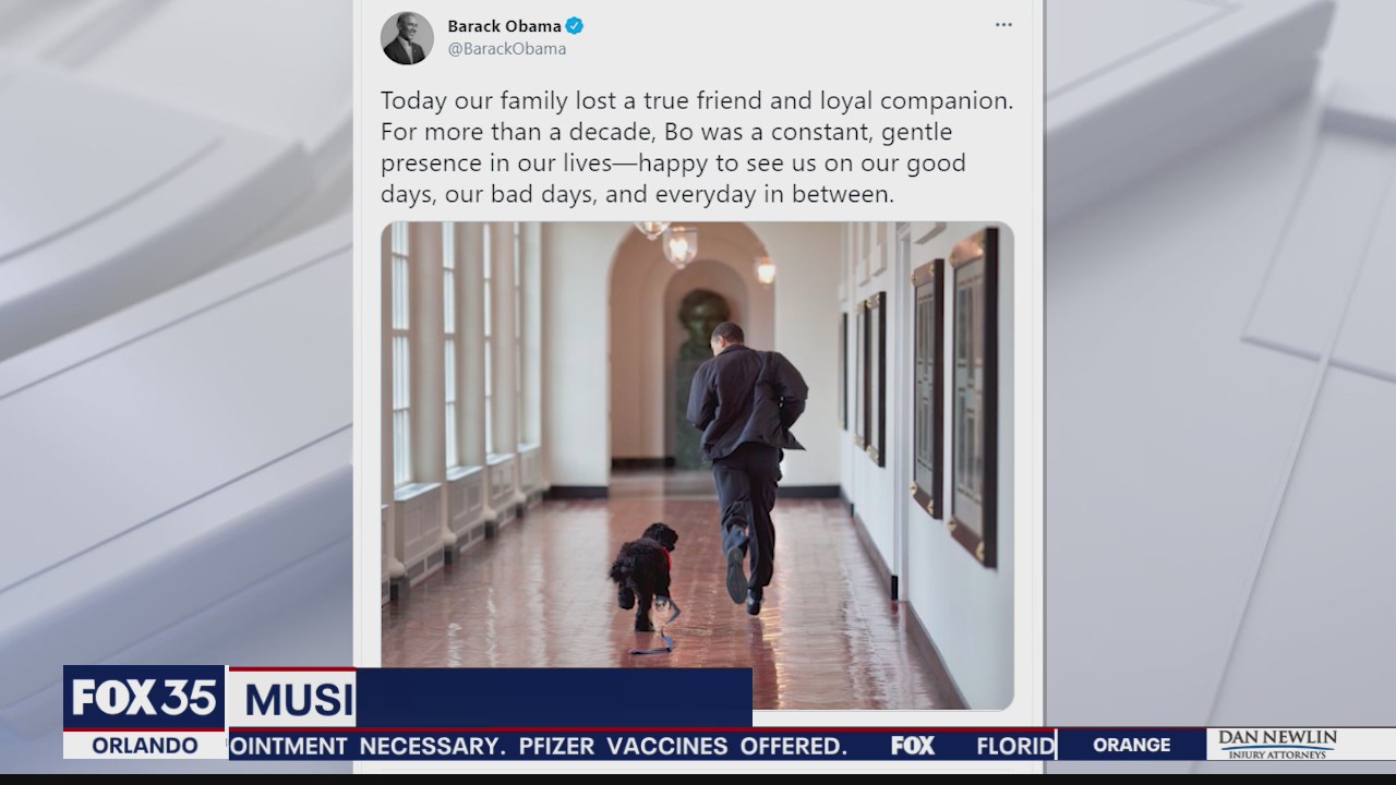 Former President Obama's family dog Bo has died