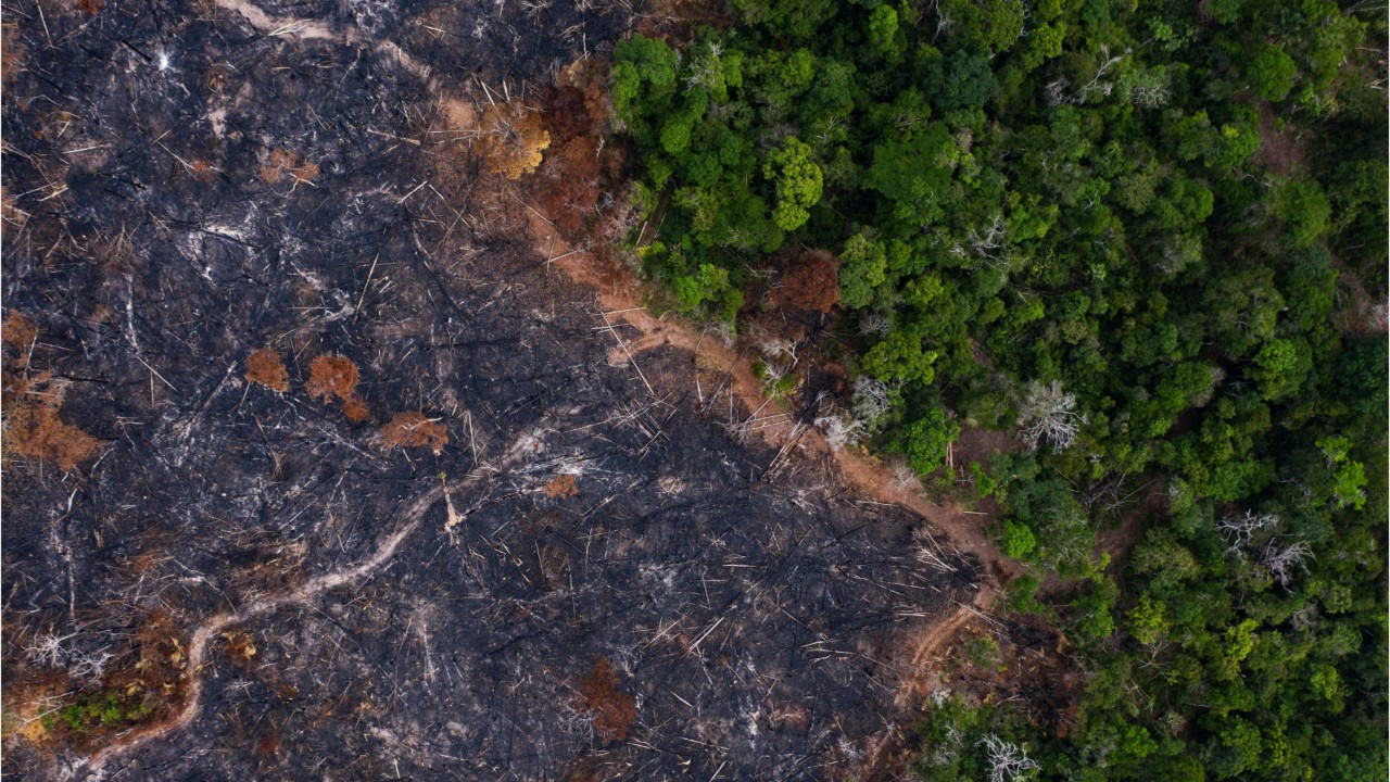 The Amazon has lost the equivalent of 10.3 million football fields to deforestation over past decade