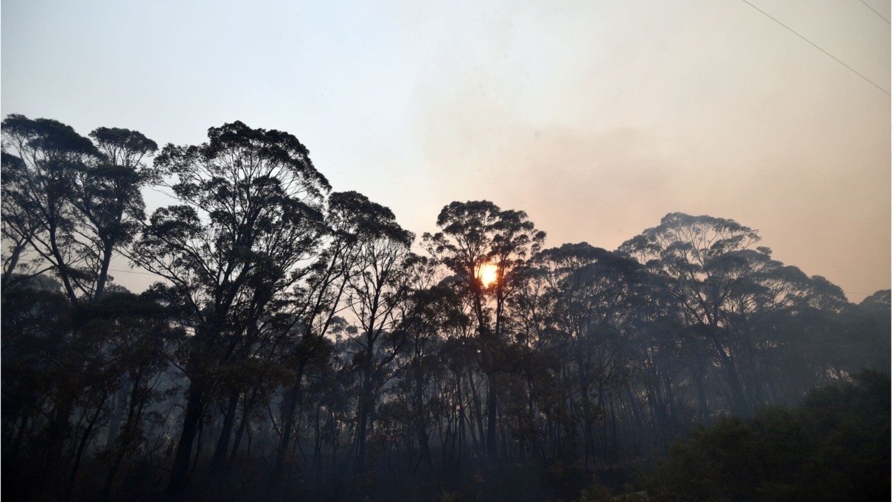 Australia has hottest day on record