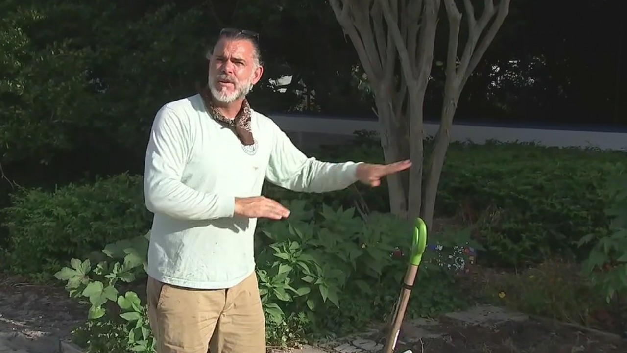 How to treat your garden during the hot holiday weekend