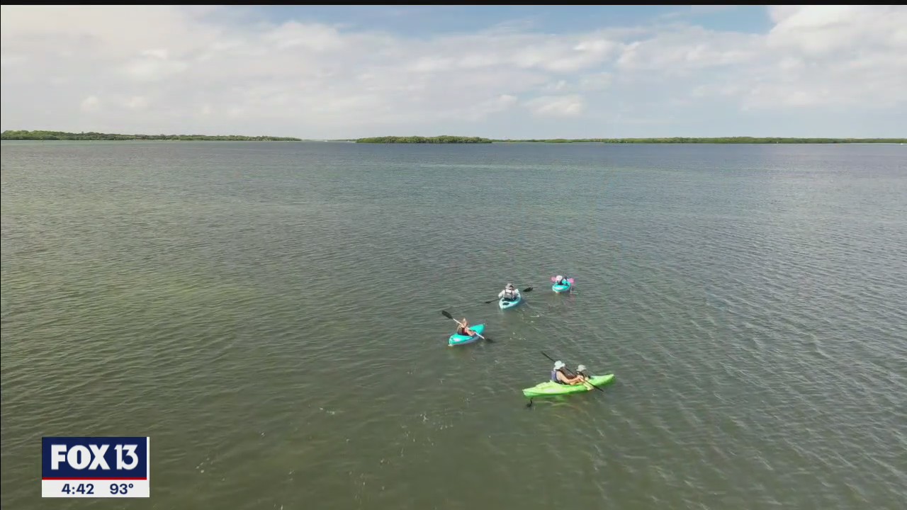 Exploring the Bay Area's waterways with Wandering Adventures