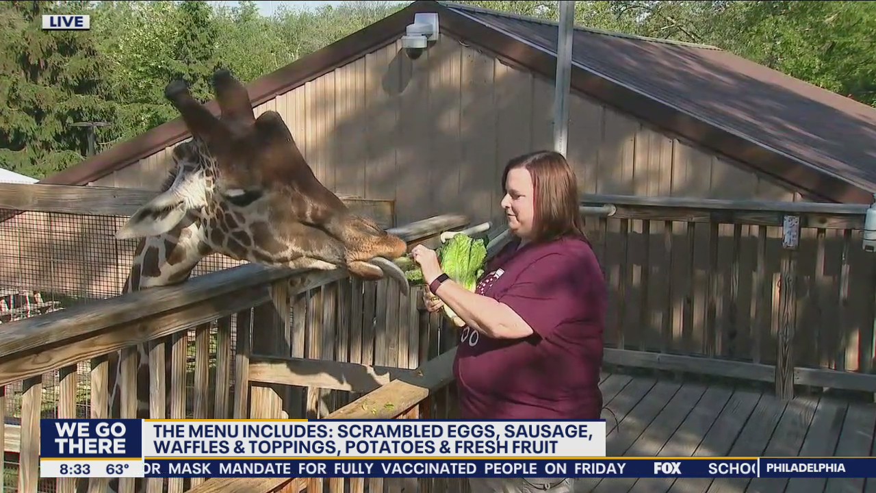 You can have 'Breakfast with the Giraffes' at Elmwood Park Zoo