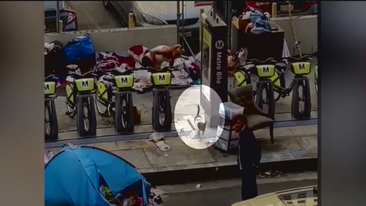 Animal abuse investigation underway after fight involving homeless couple