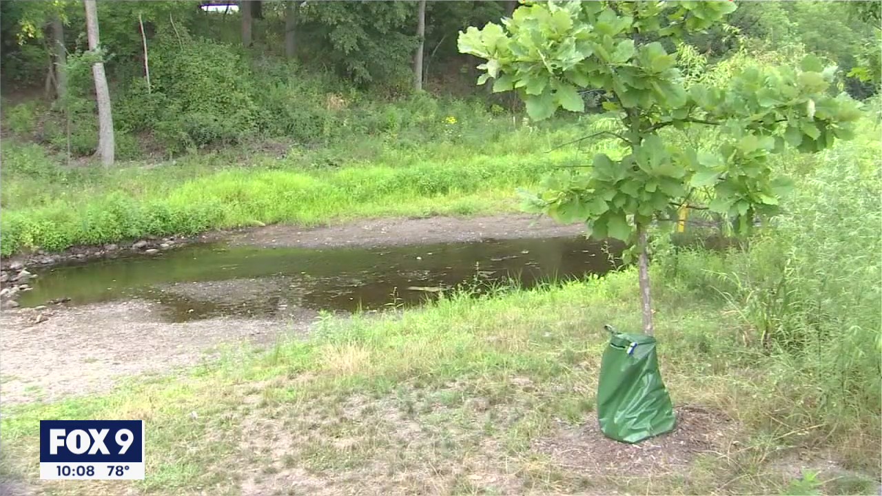 DNR monitoring low water levels amid Minnesota's drought