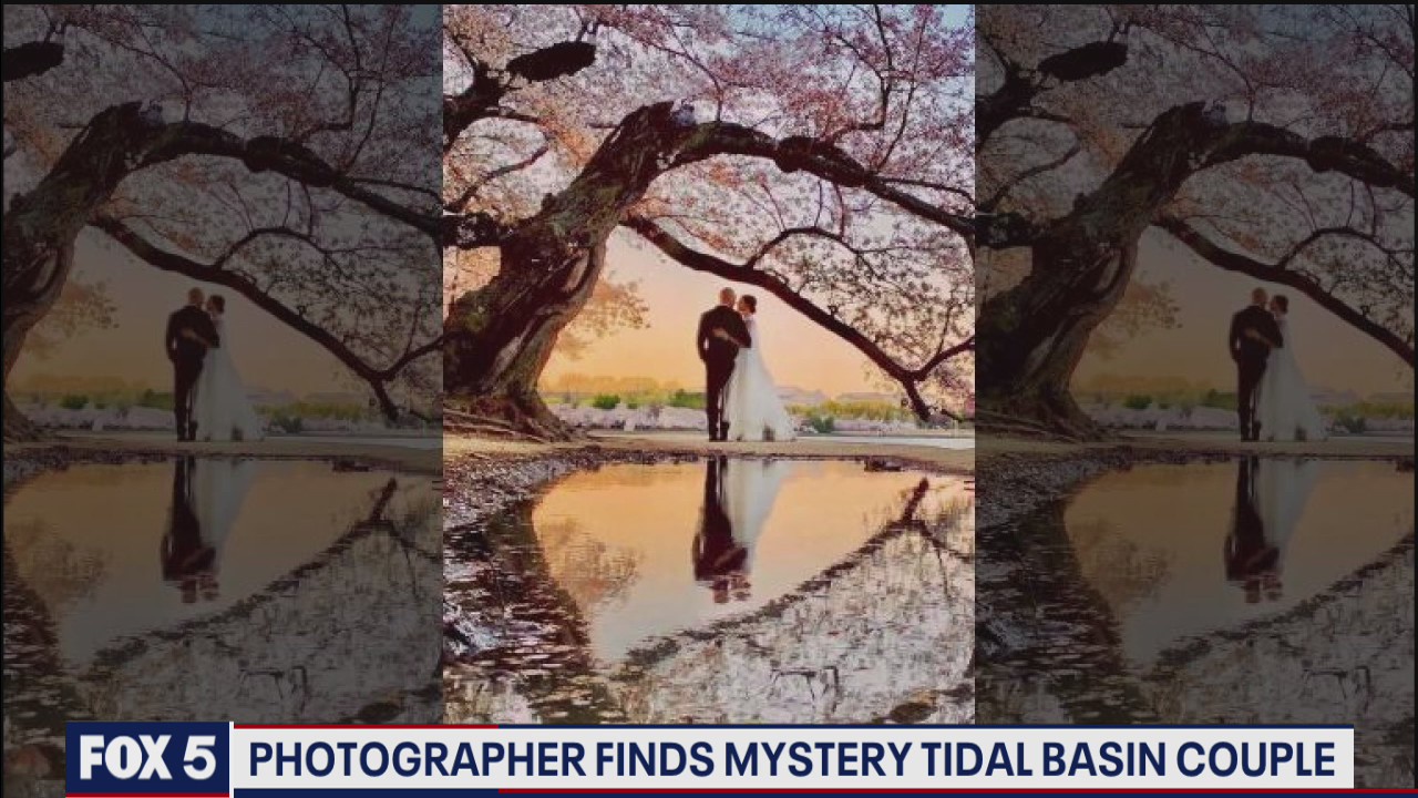 Photographer tracks down mystery wedding couple after dreamy cherry blossom pics