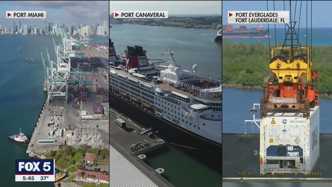 Cruise ships and COVID-19