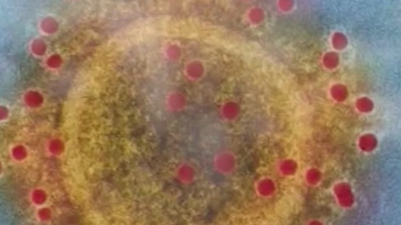 UK COVID variant case confirmed in Pasadena