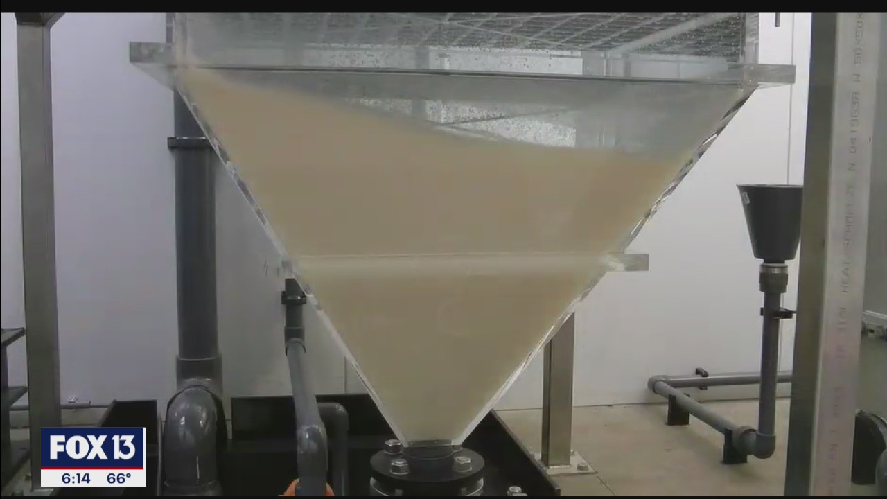 New water treatment plan for Tampa