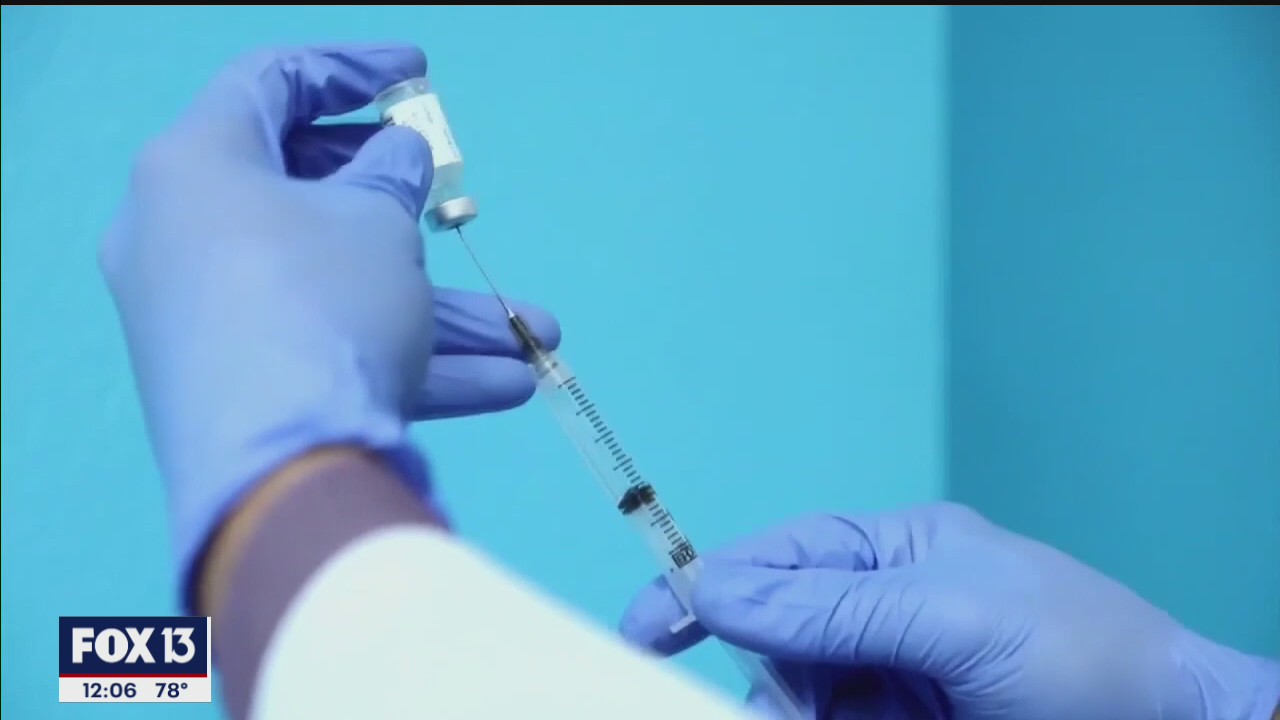Looking back at one year since the pandemic was declared