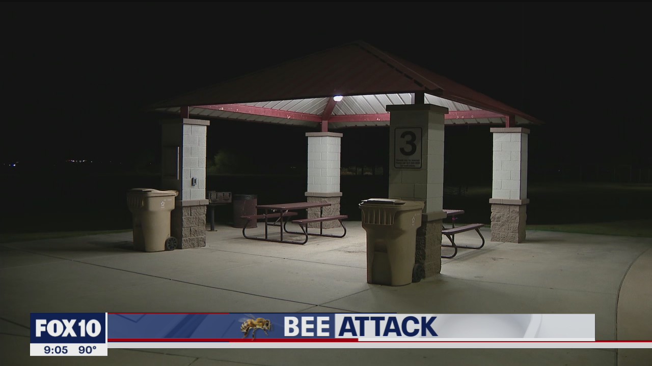 Two hospitalized in Buckeye bee attack