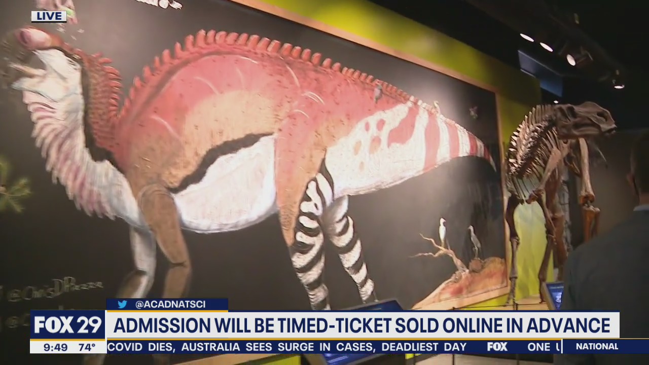 Survival of the Slowest: Academy of Natural Sciences reopens Friday