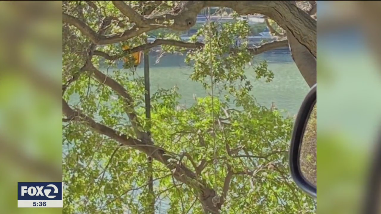 Ropes found in trees at Lake Merritt triggers hate crime investigation