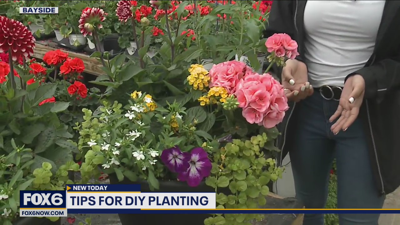 Tips for DIY planting