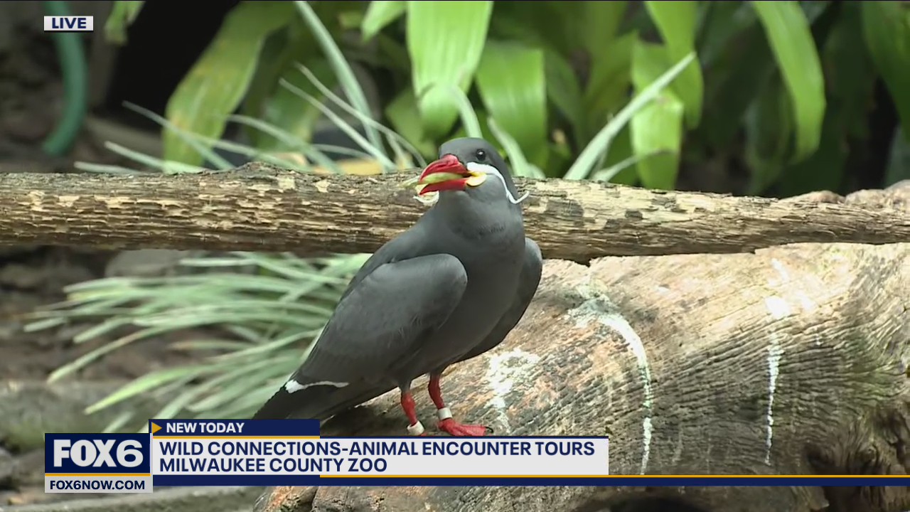 The Wild Connections animal encounter program allows guests to enjoy up-close encounters with a variety of furry, feathered and finned animals