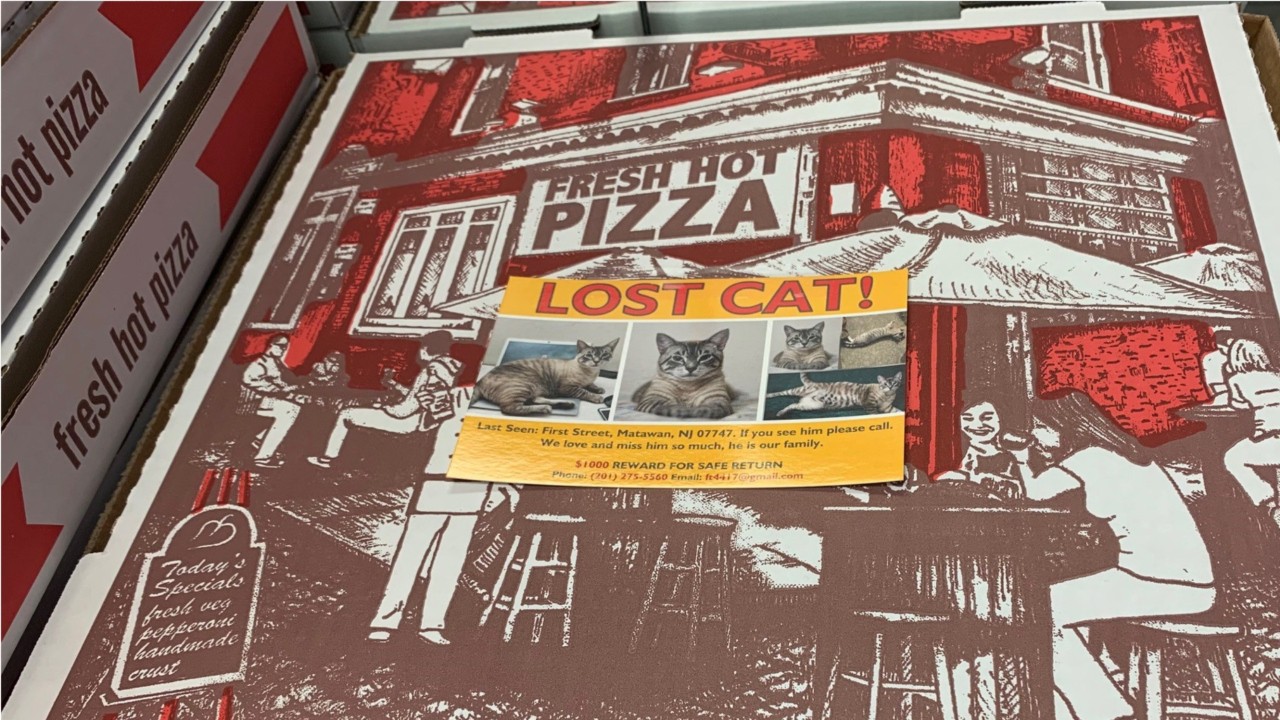 Pizzeria puts flyers of lost pets on pizza boxes, encourages other shops to do the same