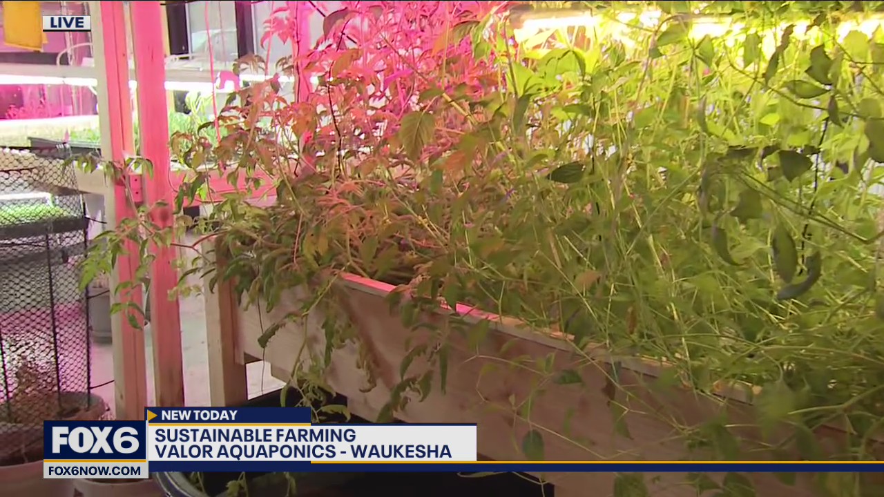 When it comes to farming, Valor Aquaponics grows more than just vegetables