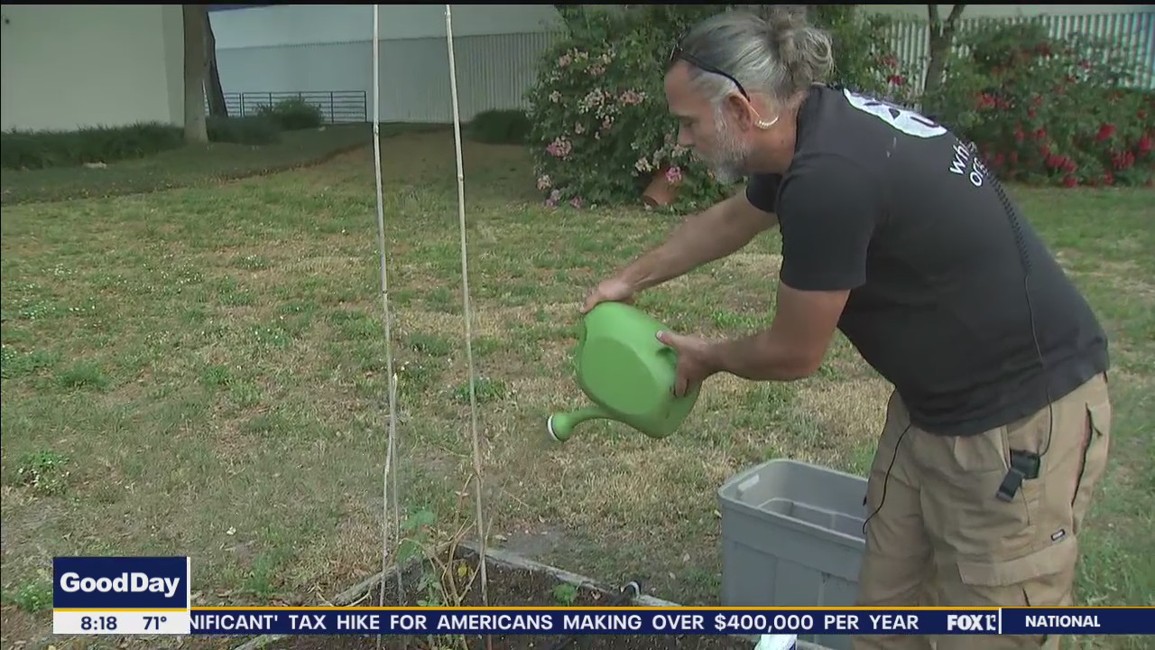 Getting that spring garden growing