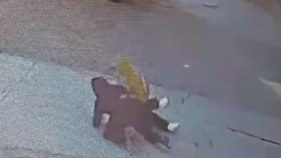 Robbers targeting shoppers wearing Rolex watches: LAPD