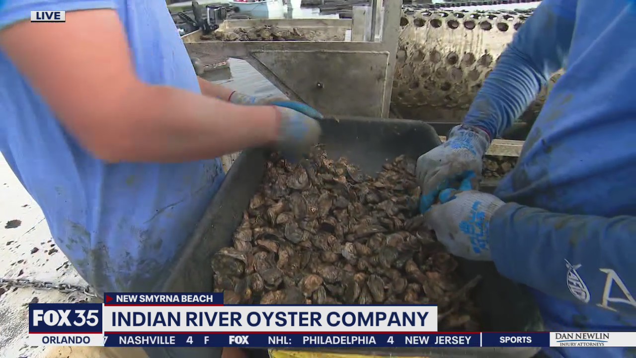 Indian River Oyster Company
