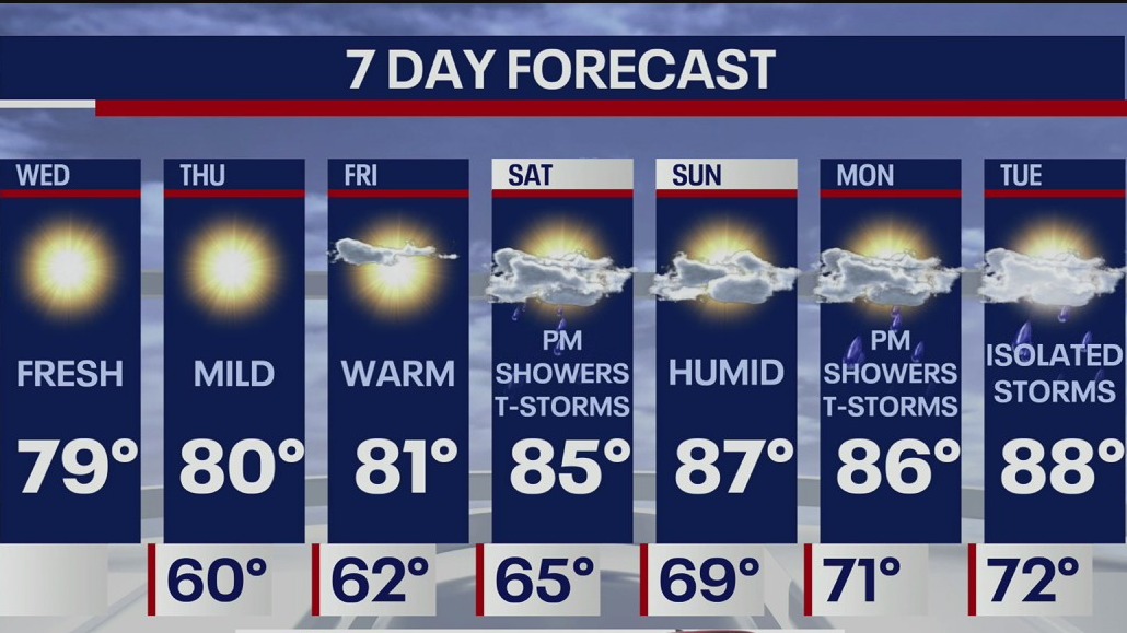Weather Forecast
