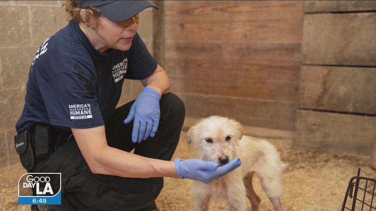 Struggling animal shelters receive help from national 'Feed the Hungry' campaign