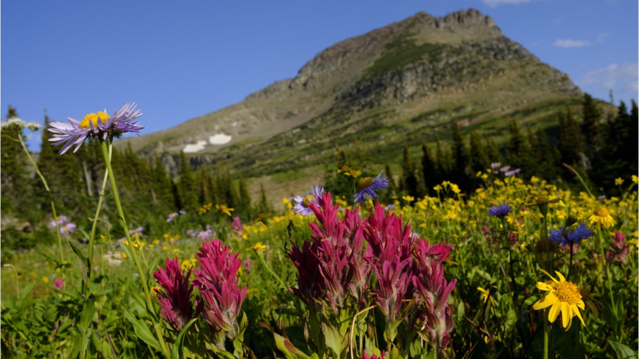 National park shares impacts of food waste