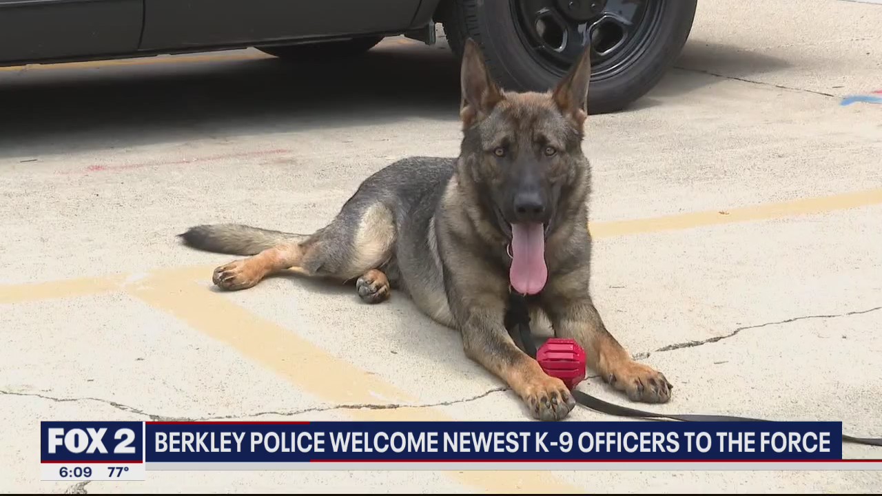 Berkley police introduces first K-9 officer