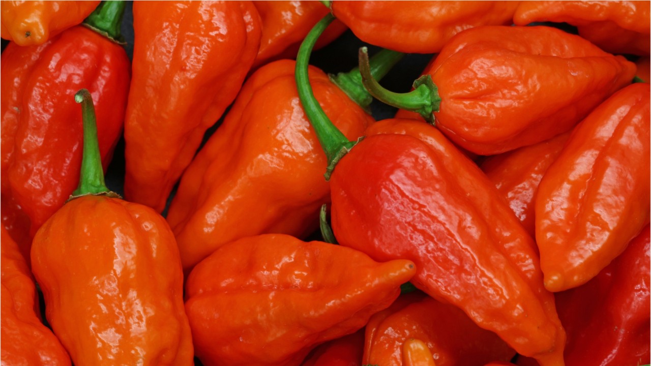 Domino's Japan creates special 'Halloween Roulette' pizza with ghost pepper