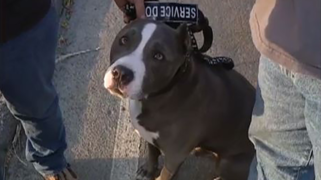 Service dog rescued at last minute during Southern California wildfire