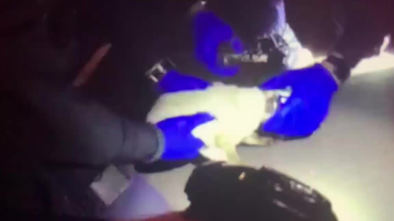 Police free kitten's head from peanut butter jar