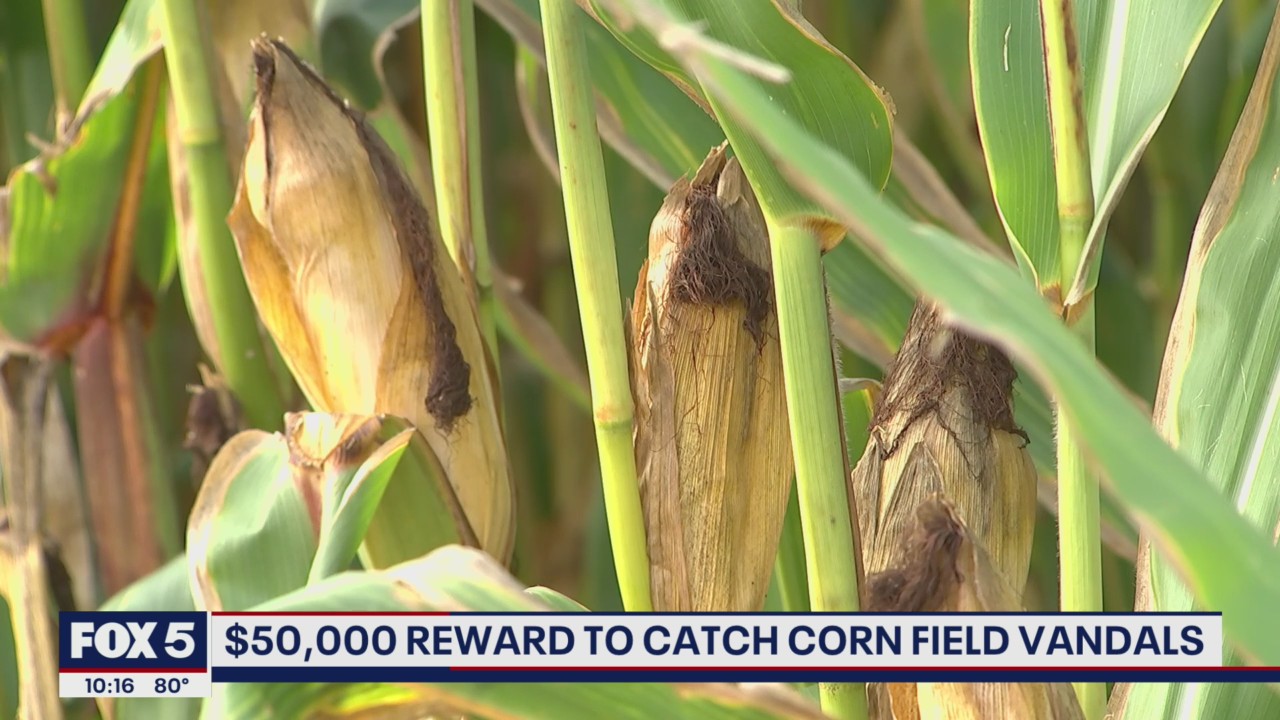 $50,000 reward offered for information on vandalized farm equipment in Montgomery County