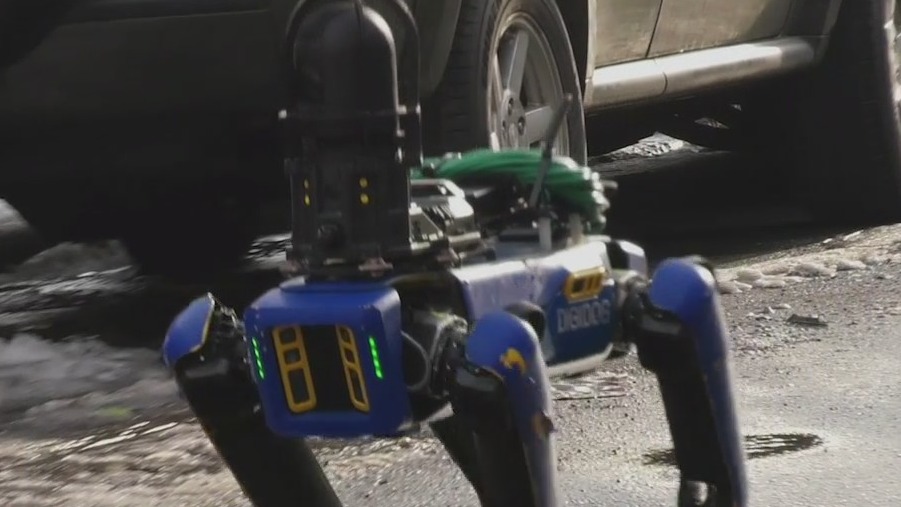 Digidog used in the Bronx
