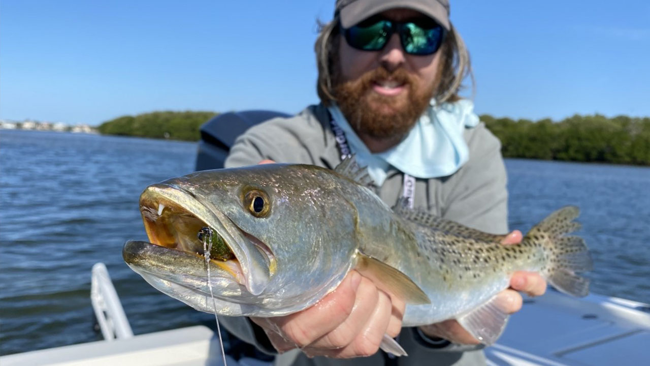 Trout bite is picking up inshore