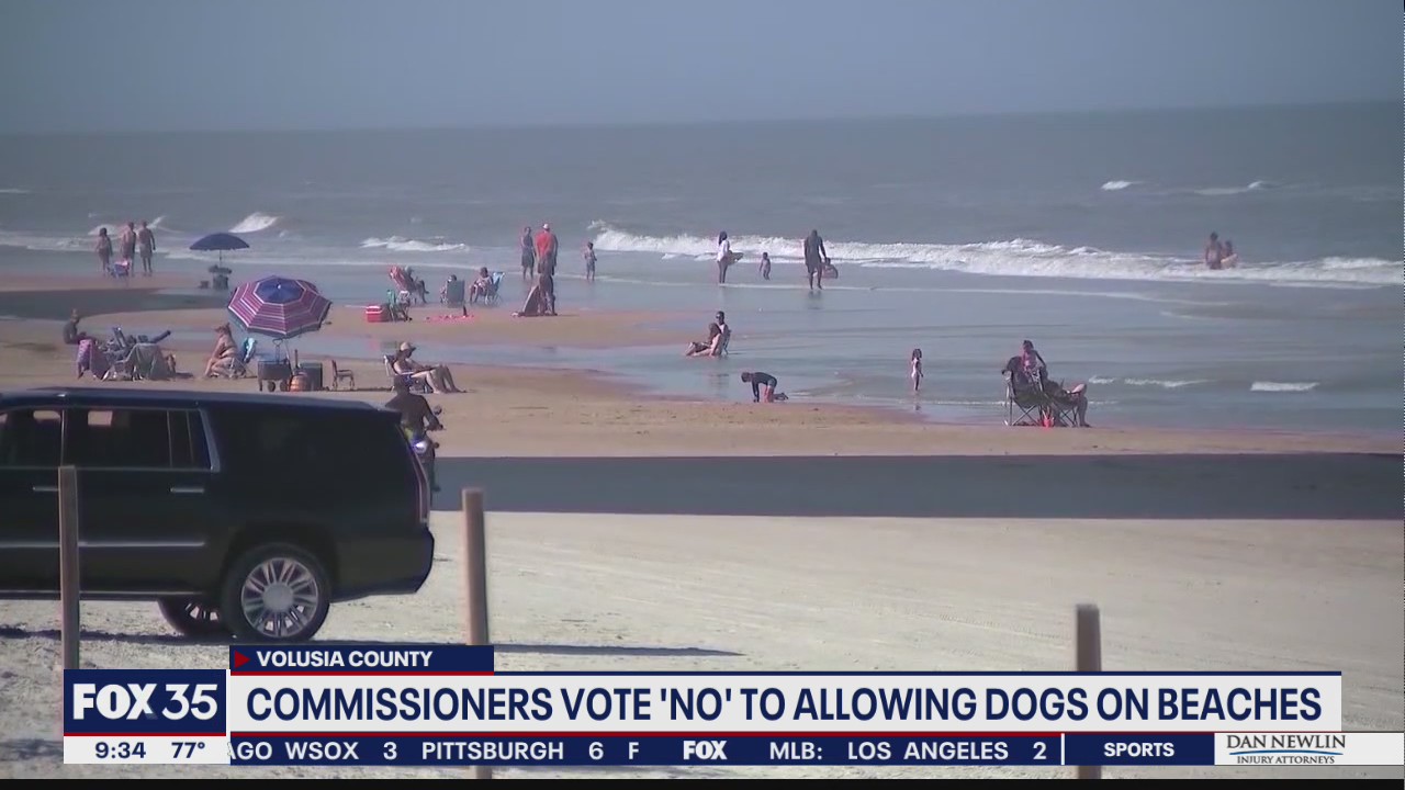 Volusia County upholds ban to keep dogs off most beaches