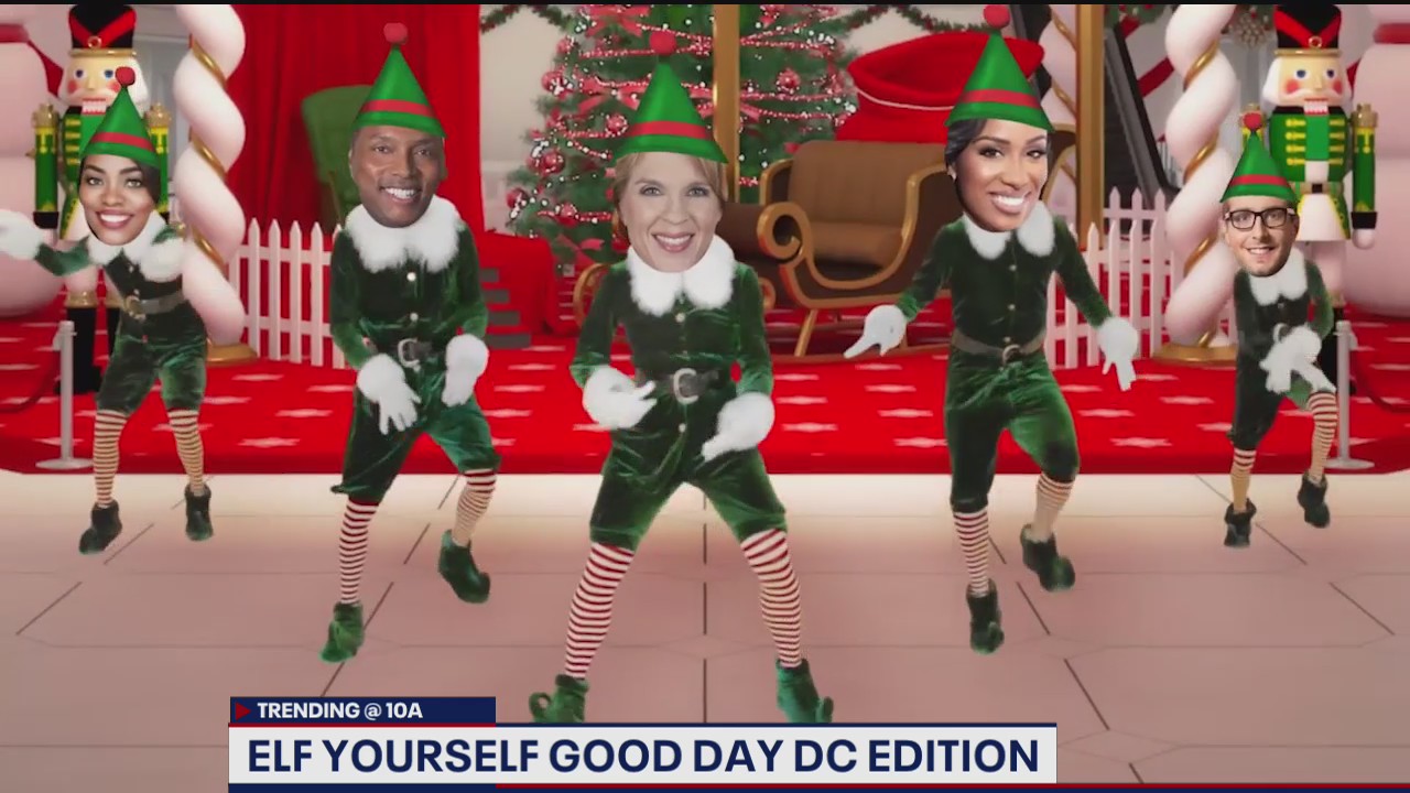 ElfYourself Good Day DC edition