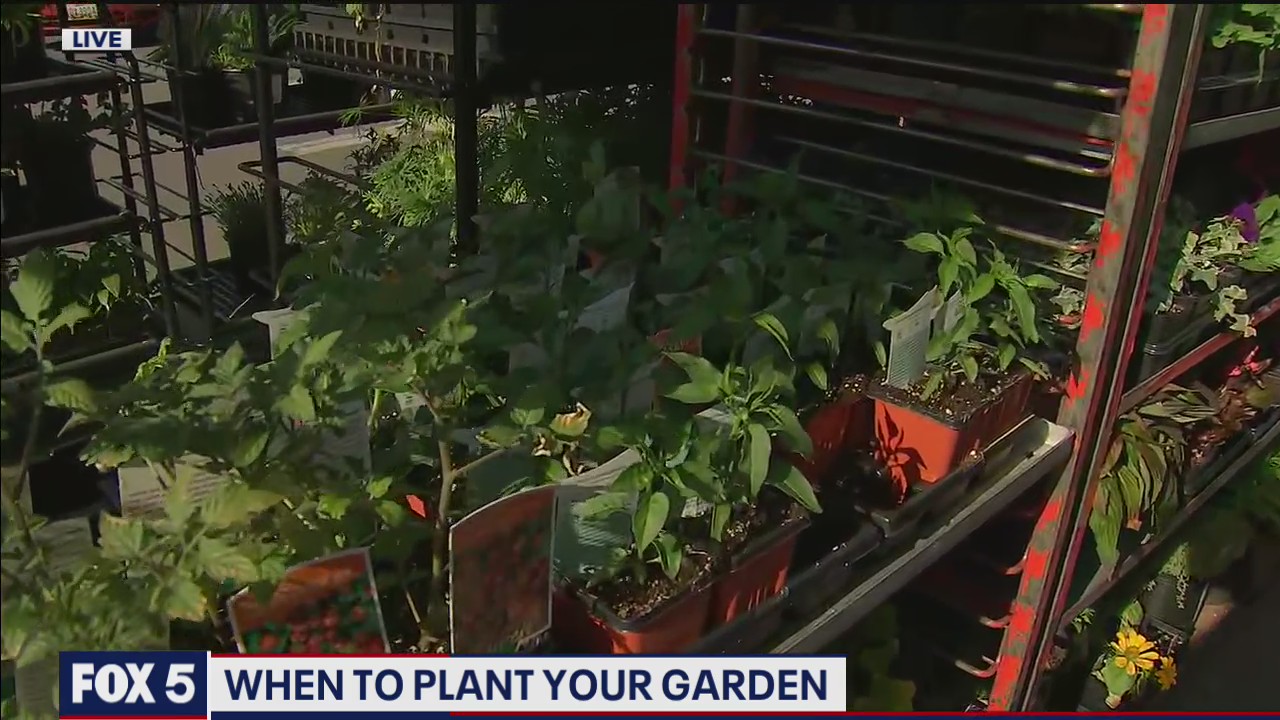 Is it too soon to plant your garden