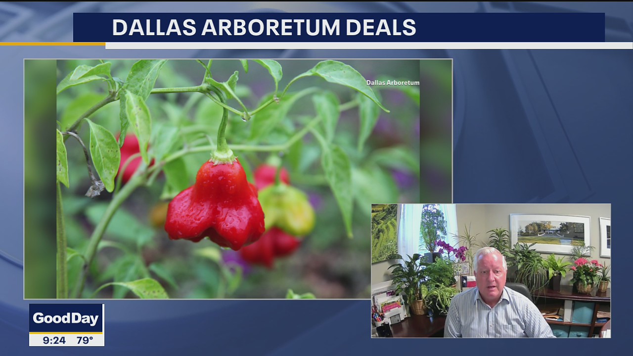 Dallas Arboretum hosts first Pepper Palooza