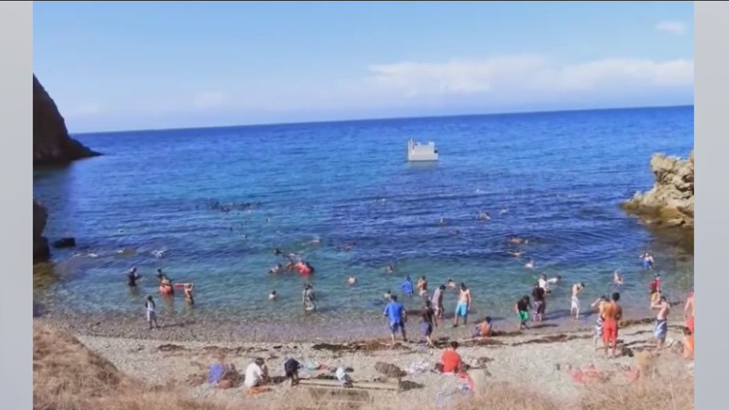 Shark bites Boy Scout off Catalina Island